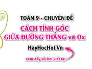 Cách tìm Hệ số góc của đường thẳng, Công thức tính góc tạo bởi đường thẳng và trục Ox, bài tập vận dụng - Toán 9 chuyên đề